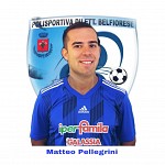 Matteo Pellegrini
